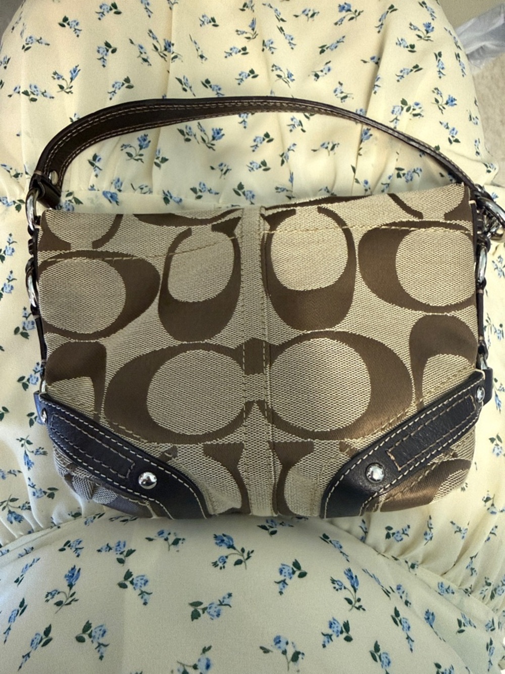 Mini Carly Coach Bag - Brown